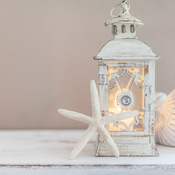 LADY FINGER STARFISH(5/PK) - Picture 2 of 2